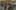 Miniatura de la captura de pantalla del juego 3