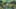Miniatura de la captura de pantalla del juego 4