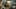Miniatura screenshot del gioco 4