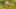 Game screenshot thumbnail 4