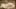 Thumbnail Spiel-Screenshot 4