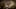 Thumbnail Spiel-Screenshot 5