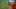 Thumbnail gamescreenshot 5
