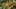 Thumbnail Spiel-Screenshot 2
