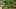 Thumbnail Spiel-Screenshot 3