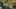 Thumbnail Spiel-Screenshot 5