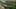 Thumbnail gamescreenshot 5