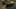 Miniatura screenshot del gioco 5