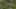 Miniatura de la captura de pantalla del juego 2