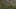 Miniatura de la captura de pantalla del juego 3