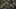 Game screenshot thumbnail 4
