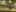 Miniatura de la captura de pantalla del juego 5