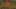 Thumbnail Spiel-Screenshot 3