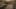 Miniature af spil-screenshot 1