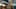 Miniatura de la captura de pantalla del juego 5