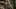 Thumbnail gamescreenshot 2