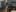 Miniatura screenshot del gioco 2