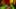 Thumbnail Spiel-Screenshot 5