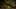 Miniatura de la captura de pantalla del juego 5