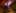 Thumbnail Spiel-Screenshot 5