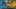 Thumbnail Spiel-Screenshot 1