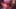 Thumbnail gamescreenshot 3