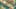 Thumbnail Spiel-Screenshot 3