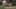 Miniatura de la captura de pantalla del juego 3