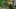 Thumbnail Spiel-Screenshot 1