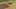 Thumbnail Spiel-Screenshot 5