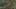 Miniatura de captura de tela do jogo 5
