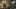 Miniature af spil-screenshot 2
