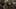 Thumbnail gamescreenshot 3