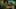 Thumbnail Spiel-Screenshot 1