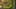Miniature af spil-screenshot 3