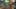 Miniature af spil-screenshot 4
