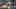 Miniature af spil-screenshot 5
