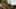 Thumbnail Spiel-Screenshot 5