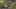 Game screenshot thumbnail 1