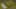 Game screenshot thumbnail 5