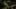 Miniature af spil-screenshot 1