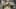 Miniature af spil-screenshot 4