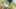 Thumbnail Spiel-Screenshot 5