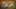 Miniature af spil-screenshot 4