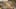 Miniature af spil-screenshot 5
