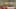 Miniature af spil-screenshot 3
