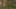 Miniature af spil-screenshot 2