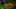 Thumbnail Spiel-Screenshot 4