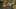 Thumbnail Spiel-Screenshot 2