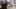 Thumbnail gamescreenshot 1
